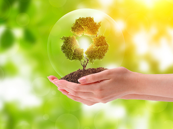 应急预案环保咨询服务